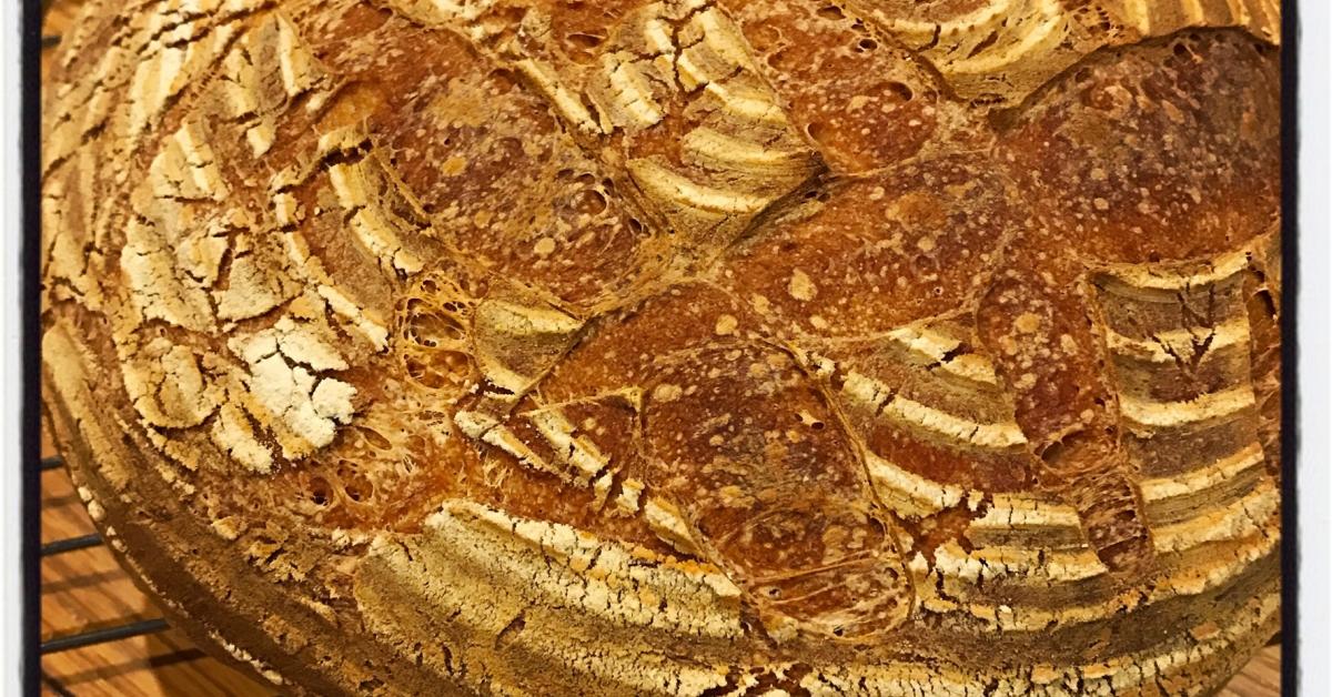 Sourdough Bread by Fiona Dalgleish. A Thermomix ® recipe in the category Breads & rolls on www